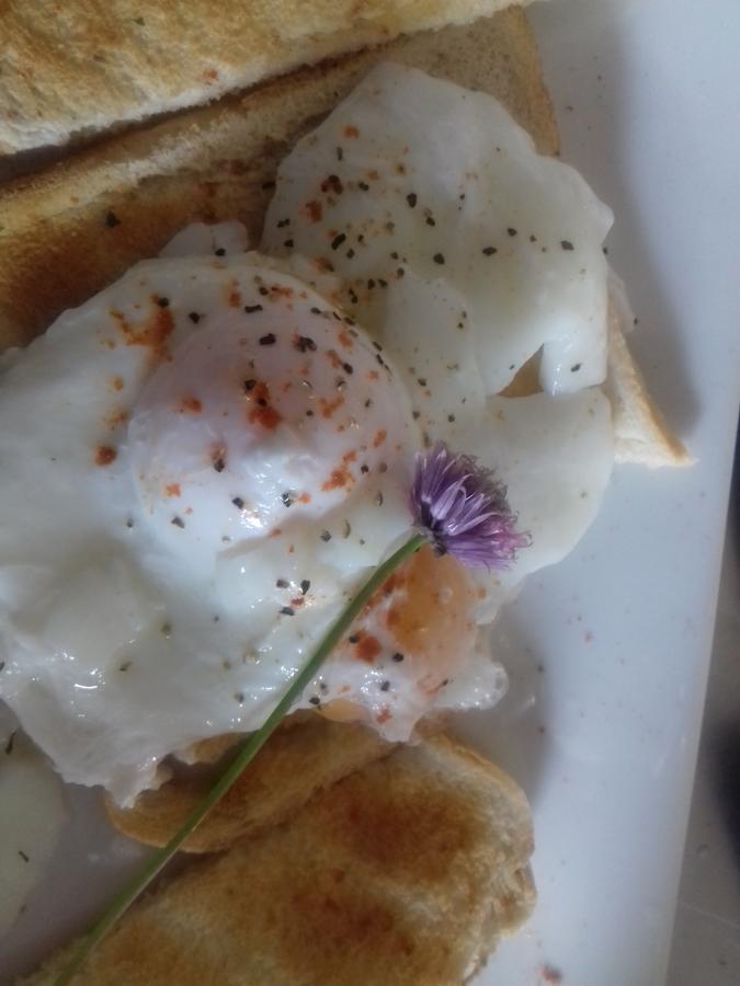 Westhouse Cafe N39 E0A6 Bed and Breakfast Longford Exteriör bild